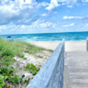 Meet your Posher, Wyatt